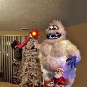 Meet your Posher, Carrie